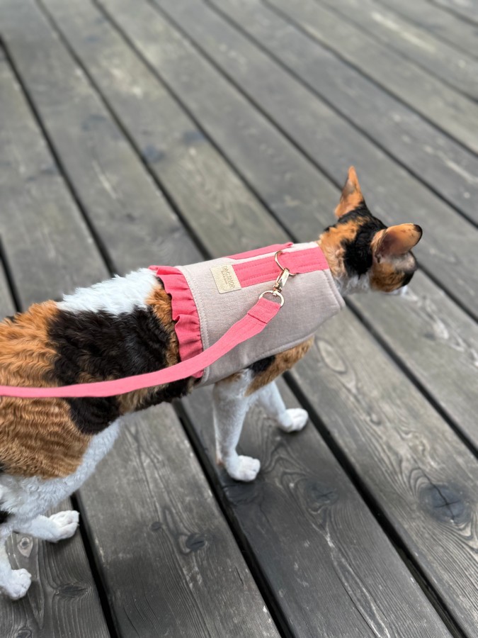 Petnešos liemenė katei COMFORT