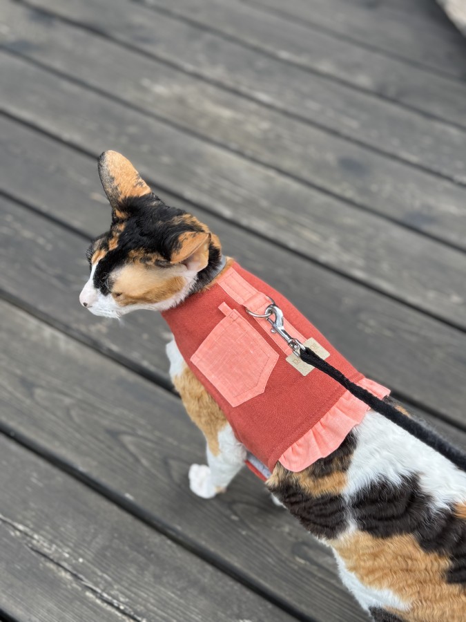 Petnešos liemenė katei COMFORT