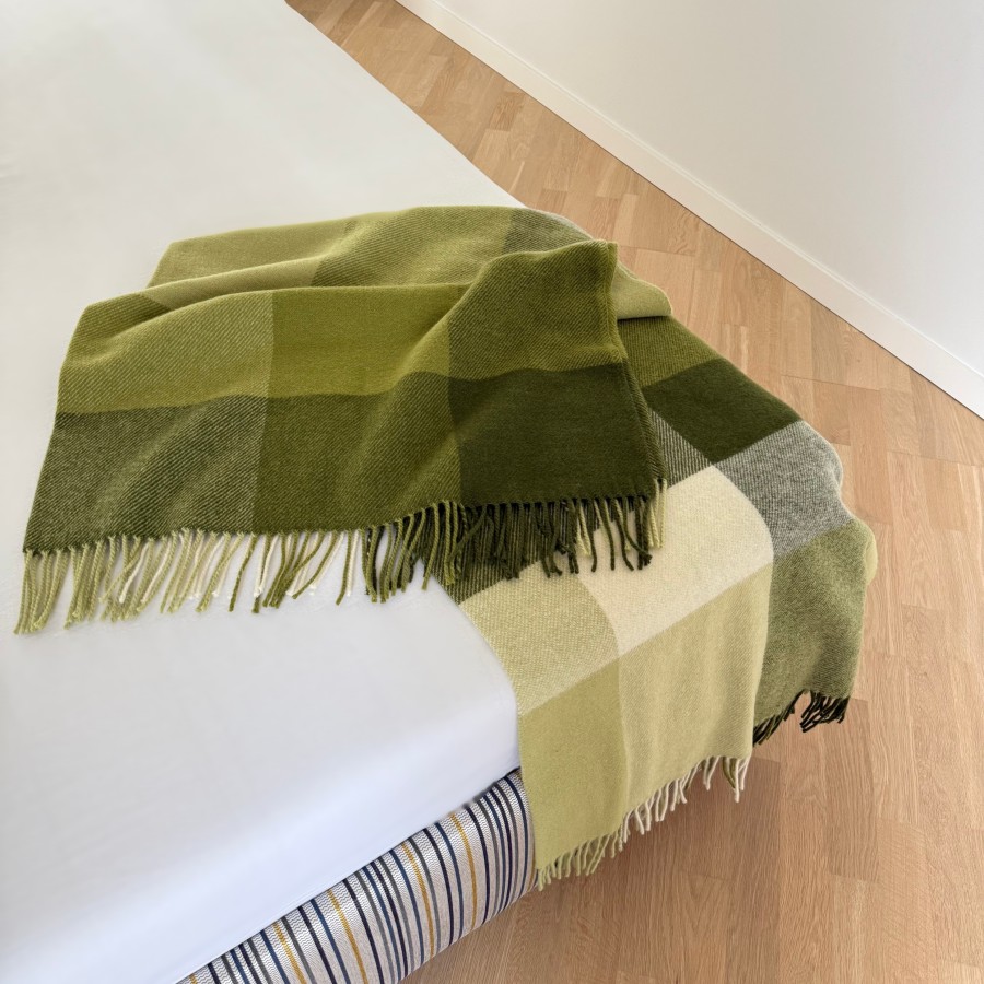 Vilnonis pledas BRITA