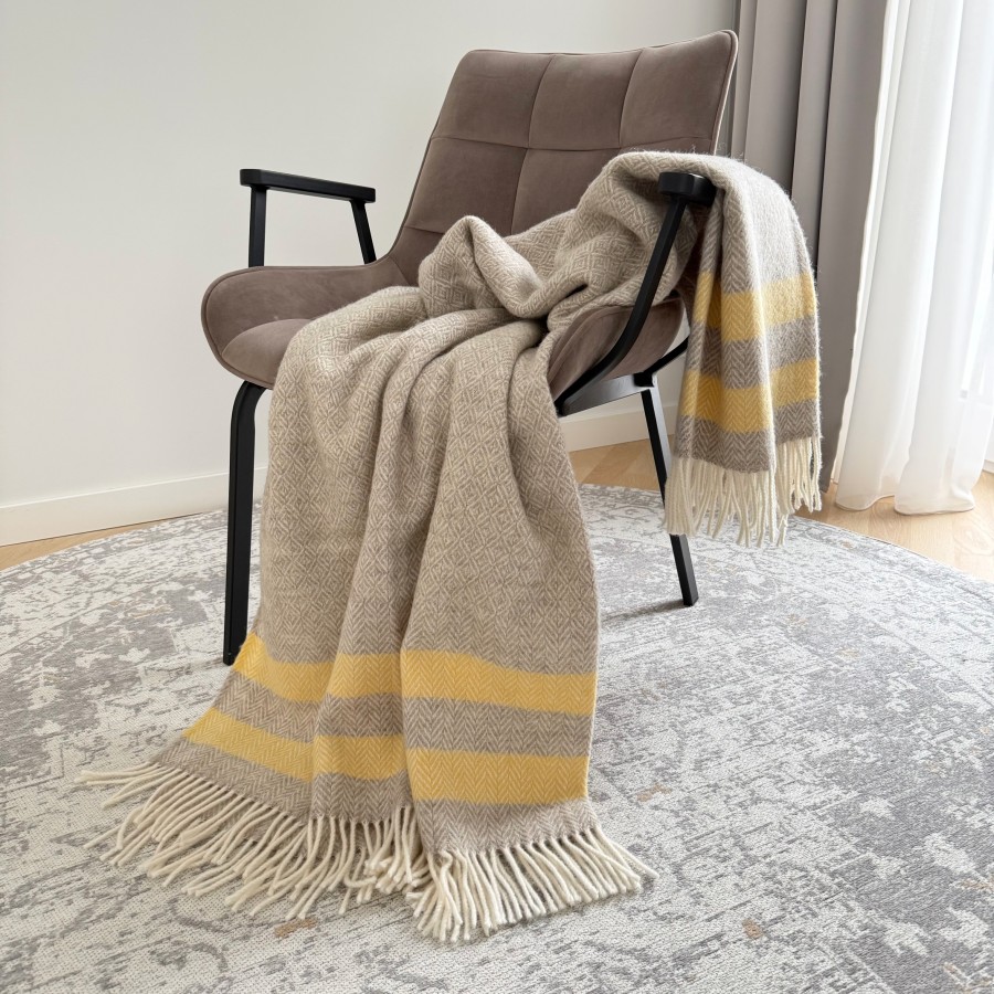 Vilnos pledas SOFT DREAM