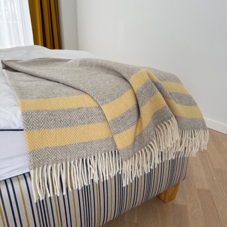 Vilnos pledas SOFT DREAM