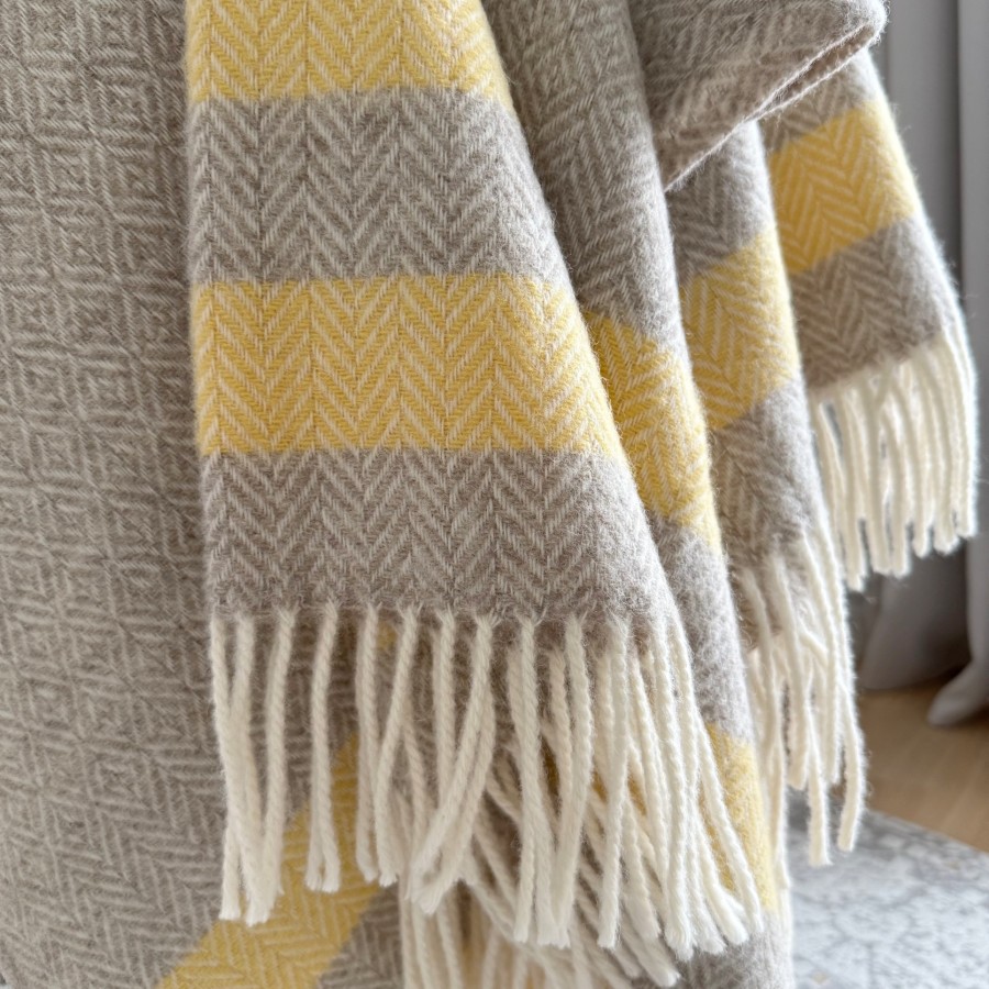 Vilnos pledas SOFT DREAM