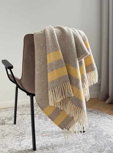 Vilnos pledas SOFT DREAM